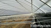 Sell agricultural greenhouse