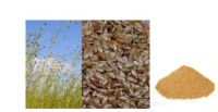 Sell Flaxseed Hull Extract 20%-80%