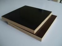 Sell film faced plywood