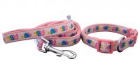 Pet collar and leash