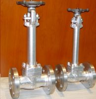 Extended Stem Gate Valve