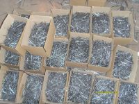 Sell common wire nail