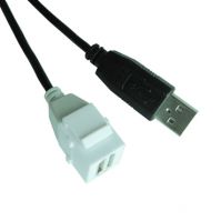 Sell USB A Female Keystone Insert to USB A male extension cable