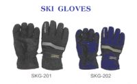           Ski Glove