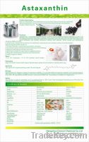 Astaxanthin cool soluble powder CAS:472-61-7