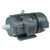 YBP Series Three Phase  Motor With Frequency Converter