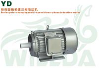 YD Series Pole Changing Multi-speed Three-phase Induction Motor