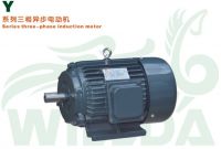 Y Series Three Phase Asynchronous Induction Motor