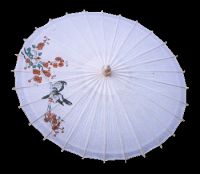 paper umbrella and parasol