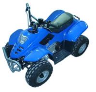 Sell 750W Electric ATV CAS077