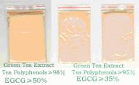 Sell green tea powder extract