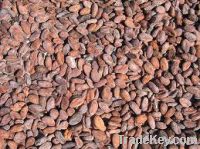 Sell Fermented Cocoa Bean