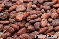 Sell Organic Cocoa Beans