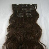 Sell Best Selling Remy Hair Clip In Hair Extension