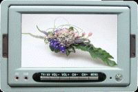 Sell LF-62A:  6.2" Cushion TFT LCD Monitor with TV Function