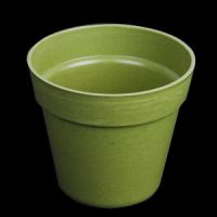 Sell biodegradable flower pots