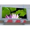 Sell  P8 Iran indoor led display screen