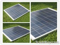 Sell 60w poly solar panel