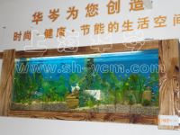 wall-mounted fish tank