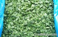 Sell IQF brocoli, cauliflowers, spinach
