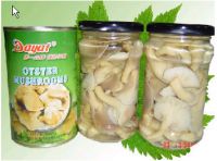 Sell oyster mushroom