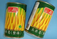 Sell baby corn canned