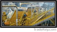 Sell All grades of Brazilian Sugars directly from refineries.