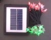 Sell solar string light