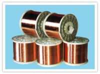 Sell Red Copper Wire or wire mesh