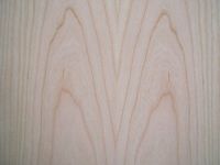 Sell American Cherry plywood