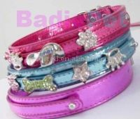 Metallic personalized collar