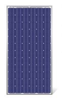 Sell 170W Solar Photovoltaic Panel