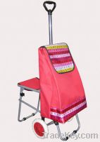 shopping trolley with chair ZT4001