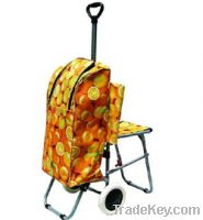 sell heat preservation shopping trolley ZT4003_11