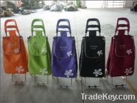 shopping trolley bag ZT3044