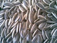 sunflower seeds