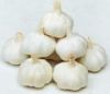 garlic(normal white, pure white)