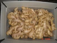 Sell air-dried ginger