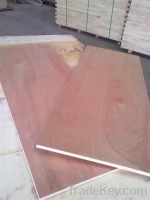 Sell Door Size Plywood