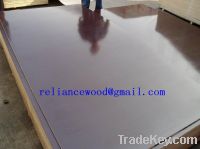 Sell Film Faced Plywood