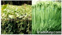Sell agriculture products/bio organic fertilizer/soil fertilizer