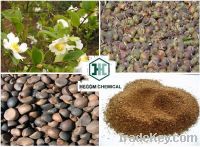 Tea Seed Meal-dry fertilizer