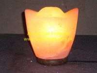 Himalayan Flower Salt Lamps/Himalayan Crafted Flowers and Fancy Salt Lamps/Himalayan Crystal Rock Salt Lamps/Himalayan Salt Diffuser and Ionizer