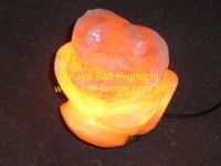 Himalayan Flower Salt Lamps/Himalayan Crafted Flowers and Fancy Salt Lamps/Himalayan Crystal Rock Salt Lamps/Himalayan Salt Diffuser and Ionizer