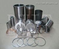 Cylinder Liner Kits for Nissan