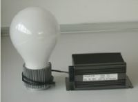 Sell electrodeless induction lamp