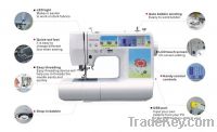 Sell Domestic Embroidery and Sewing Machine (ES950N)