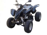 Sell  ATV250cc with EEC
