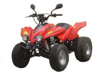 Sell  ATV250cc sport model
