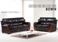 Modern Wooden Frame Half Leather Sofa Set